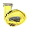Ancra Mfg 2in X 12ft Electronic Strap - Yellow 49025-20 - alternate 4